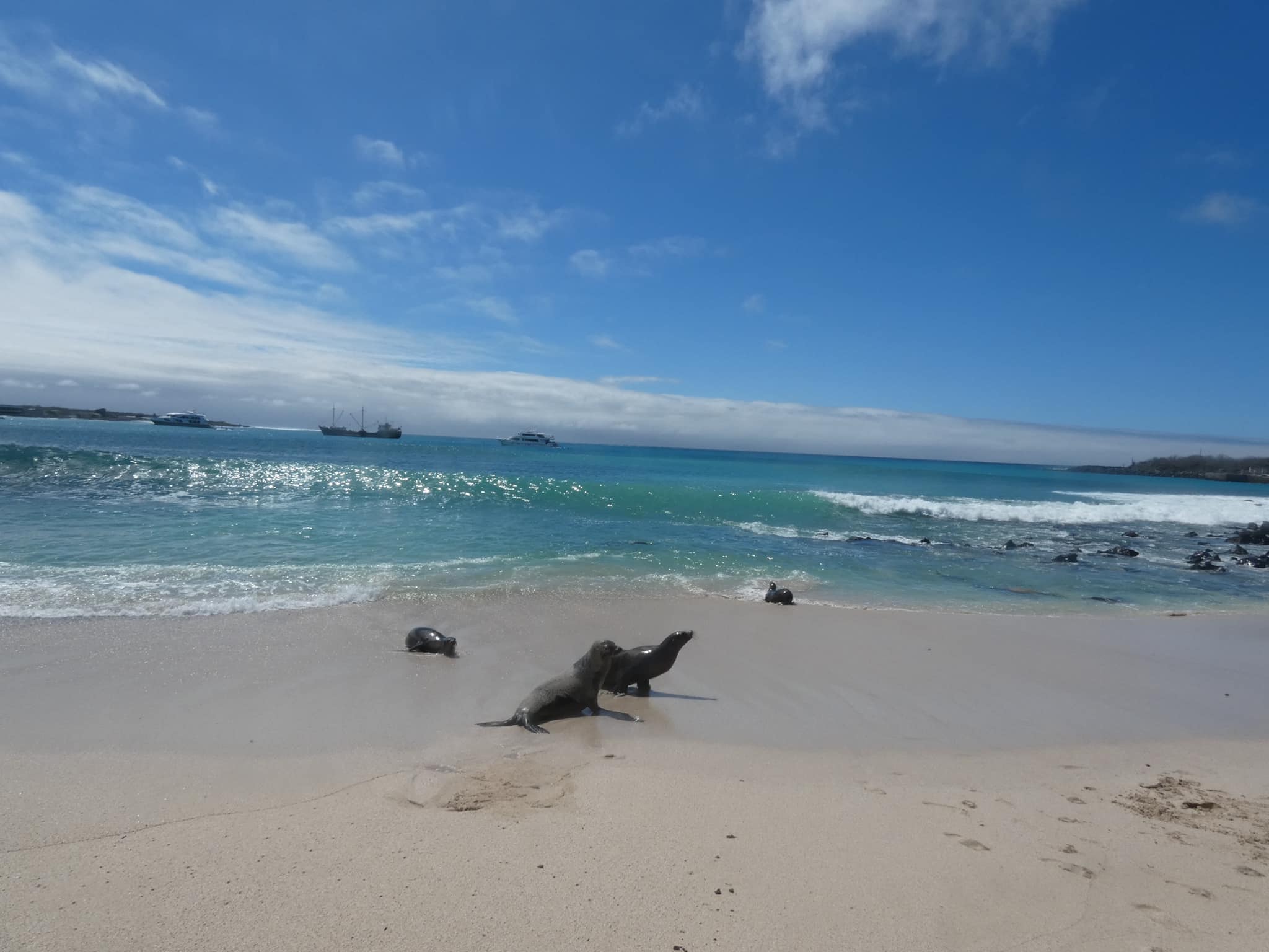 Eco Paradise Found: Exploring the Galápagos with a Lighter Footprint